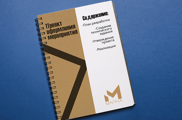 Дизайн проекта на пружине 10-15 стр.
